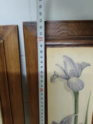 2 Cuadros Decorativos Flores