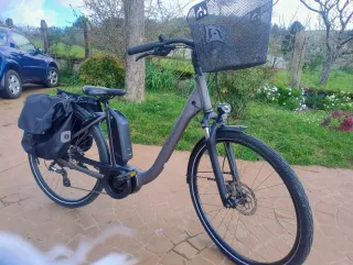 Bicicleta Eléctrica Paseo Kalkhoff