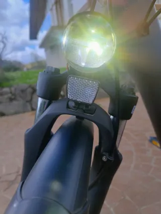 Bicicleta Eléctrica Paseo Kalkhoff