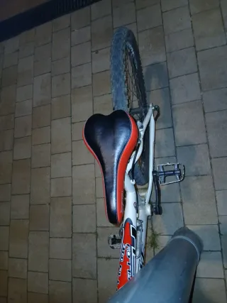 Bicicleta TopBike Montaña