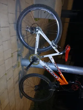 Bicicleta TopBike Montaña