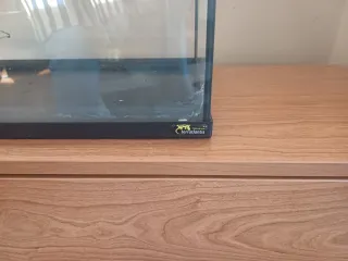 Terrario Terrantlis