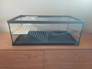 Terrario Terrantlis