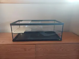 Terrario Terrantlis