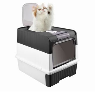 Box per gatti chiuso