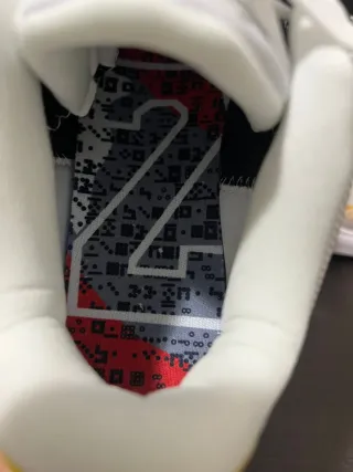 Nike Kobe 5 Protro Bruce Lee Alternate con scatola