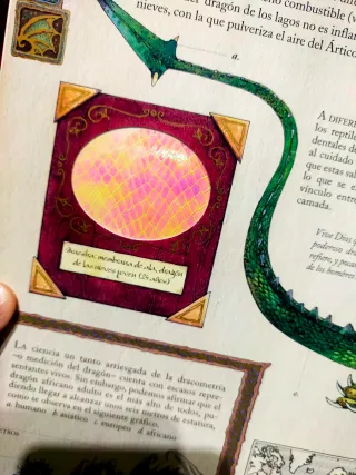 Dragones. El gran libro de los dragones (Spanis...