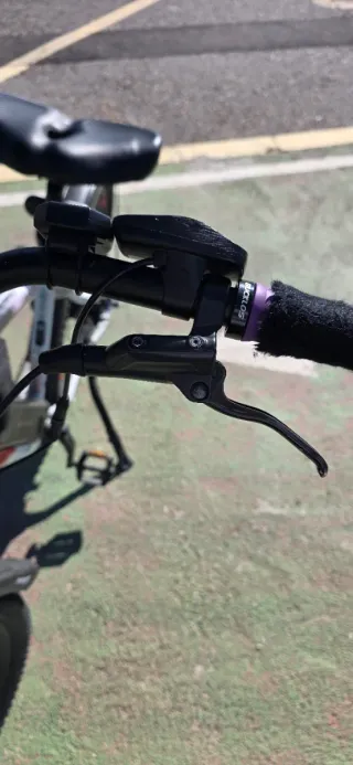 Bicicleta Eléctrica