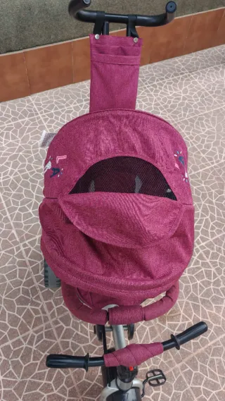 Triciclo Evolutivo Chipolino