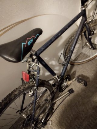 Bicicleta de adulto azul