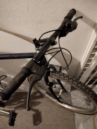 Bicicleta de adulto azul