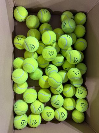 62 Palline da Tennis Alas Grado BC