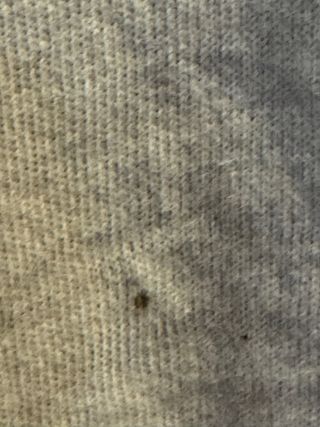 Camiseta Harley-Davidson Beige