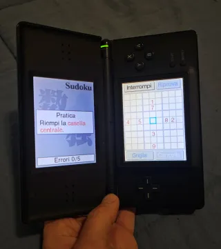 Gioco Nintendo DS More Brain Training