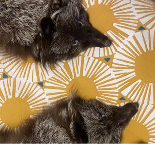 Capa de pelo marrón y plateada