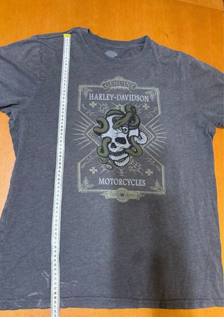 Camiseta Harley-Davidson Gris