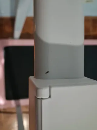 Cinta de caminar rosa seminueva