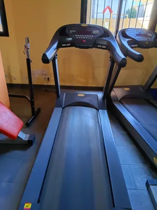 Attrezzi professionali per ellittica, tapis roulant e vogatore