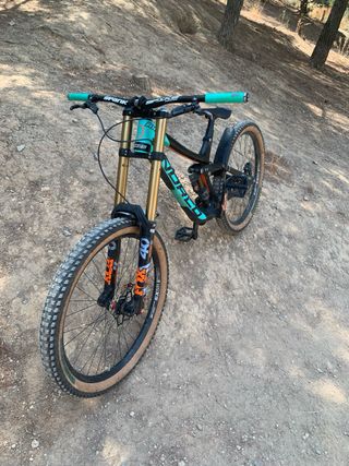 Norco Aurum