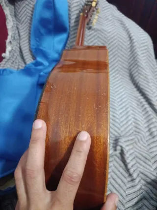 Bandurria Guitarra