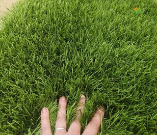 Césped artificial reciclado