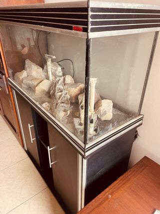 Acuario completo con decoración