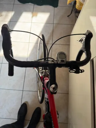 Bici Corsa Wilier Triestina