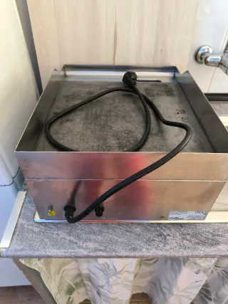 Plancha Eléctrica Profesional