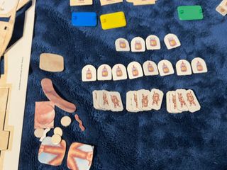 Juego de Mesa Dinosaurios MB Sinclair