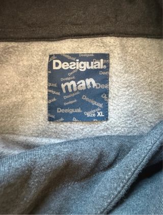 Sudadera Desigual Multicolor