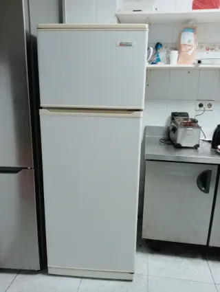 Nevera blanca 2 puertas