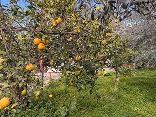 Terreno en venta en Cártama