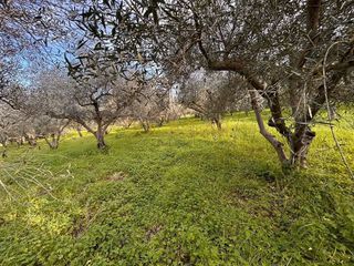 Terreno en venta en Cártama