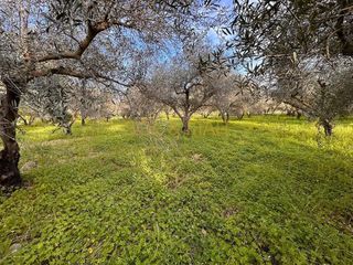 Terreno en venta en Cártama