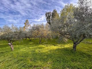 Terreno en venta en Cártama