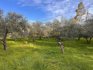 Terreno en venta en Cártama