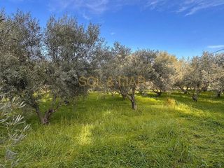 Terreno en venta en Cártama