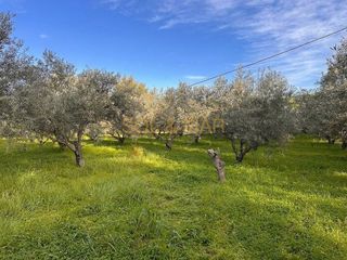 Terreno en venta en Cártama