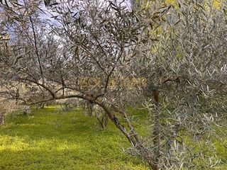 Terreno en venta en Cártama