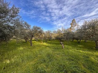 Terreno en venta en Cártama