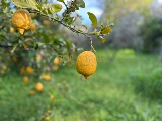 Terreno en venta en Cártama