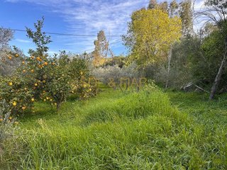 Terreno en venta en Cártama