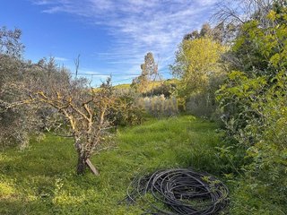 Terreno en venta en Cártama
