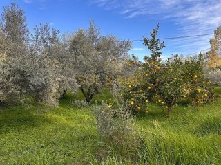 Terreno en venta en Cártama