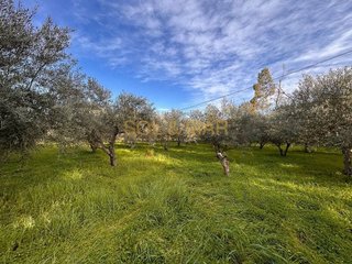 Terreno en venta en Cártama