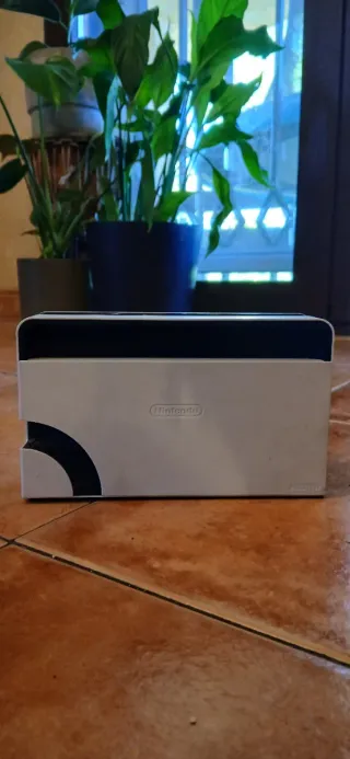 Nintendo Switch OLED + Accessori e 2 Giochi