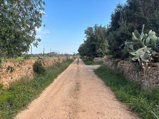 Solar en venta en Llucmajor Interior en Llucmajor