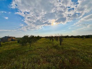 Solar en venta en Llucmajor Interior en Llucmajor