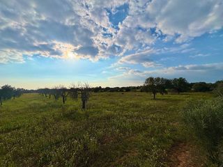 Solar en venta en Llucmajor Interior en Llucmajor