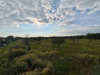 Solar en venta en Llucmajor Interior en Llucmajor